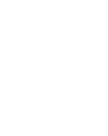 hand sketch of a bee